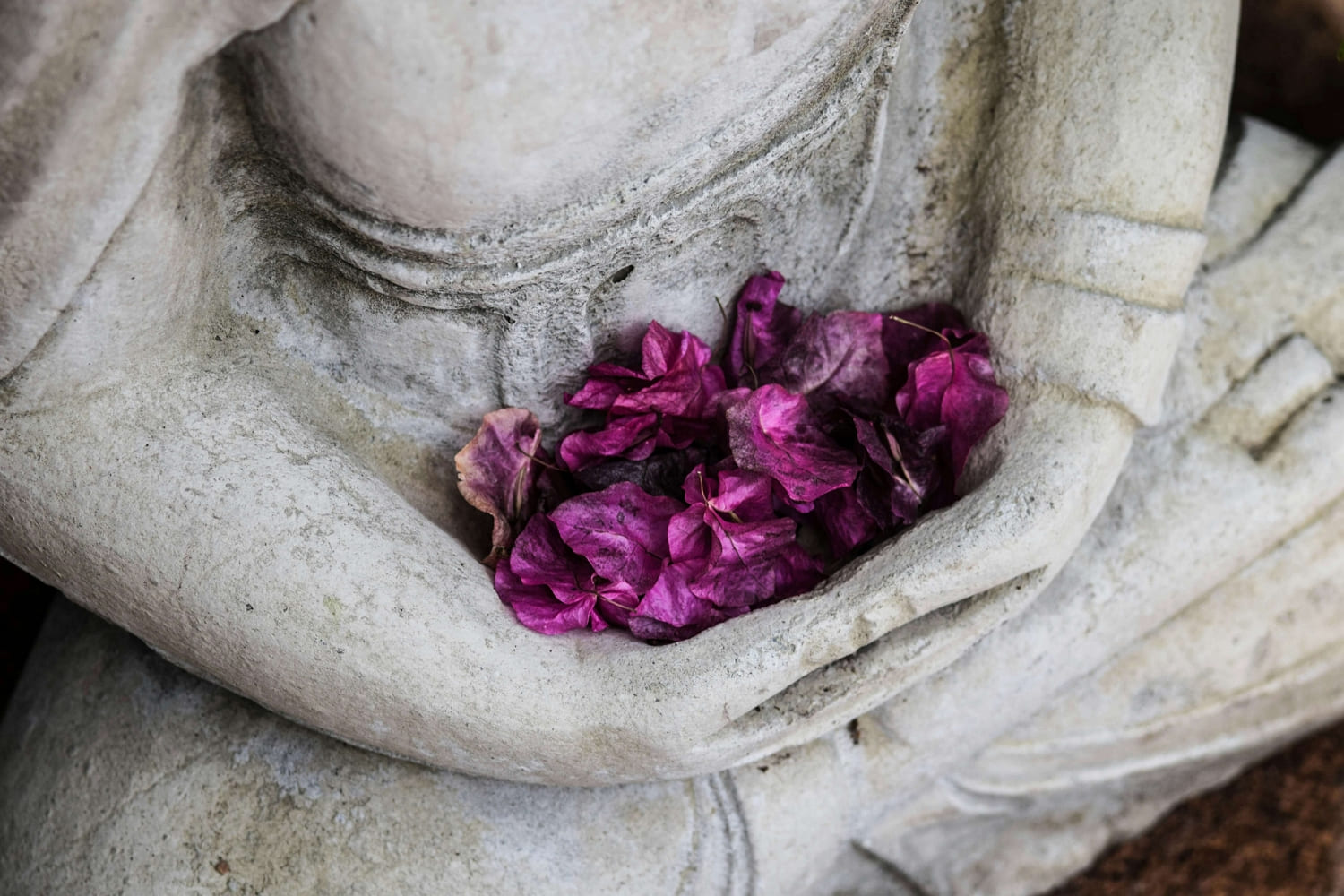 Blumenblüten in den Händen einer Statue